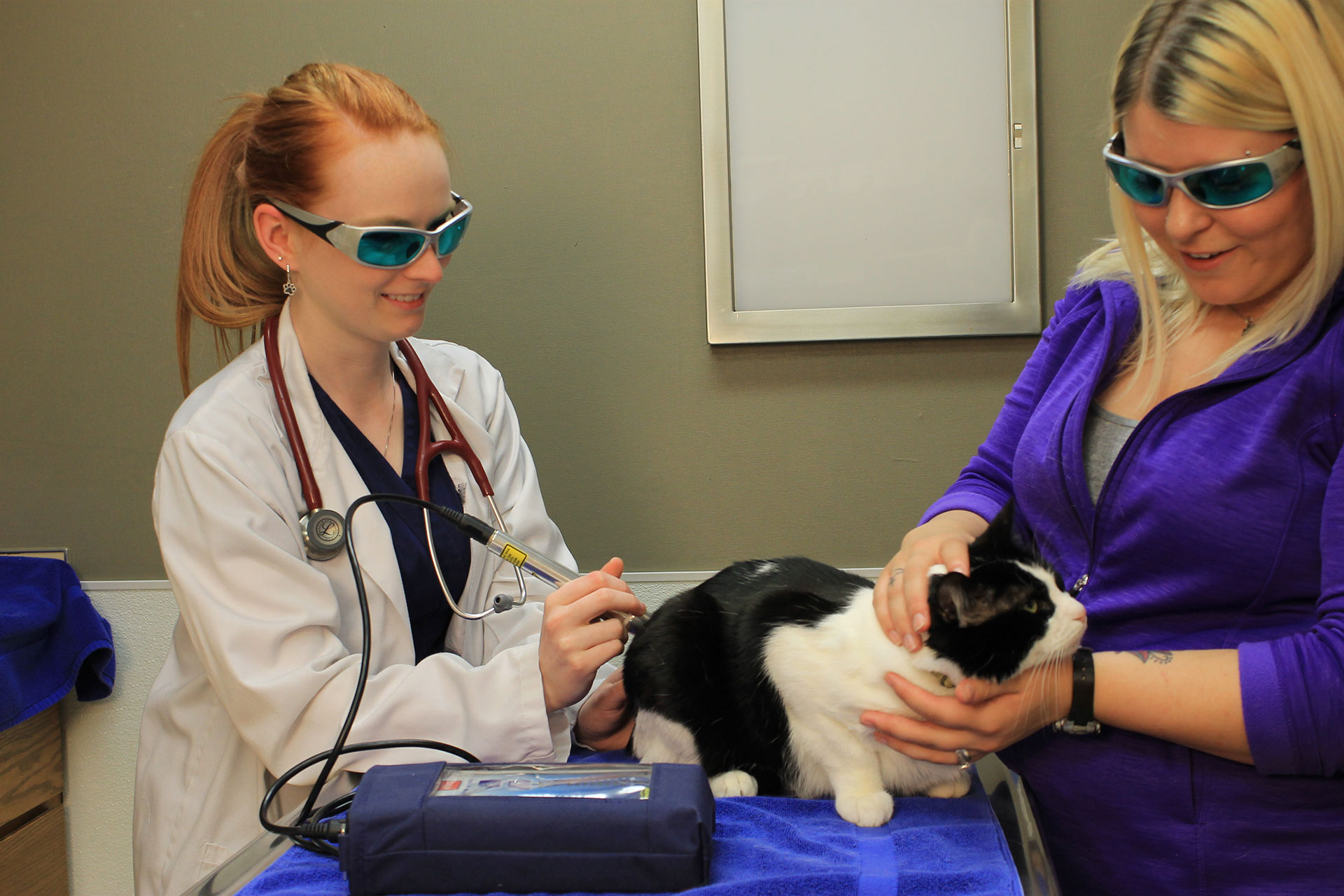 Laser Therapy  Salem, OR 