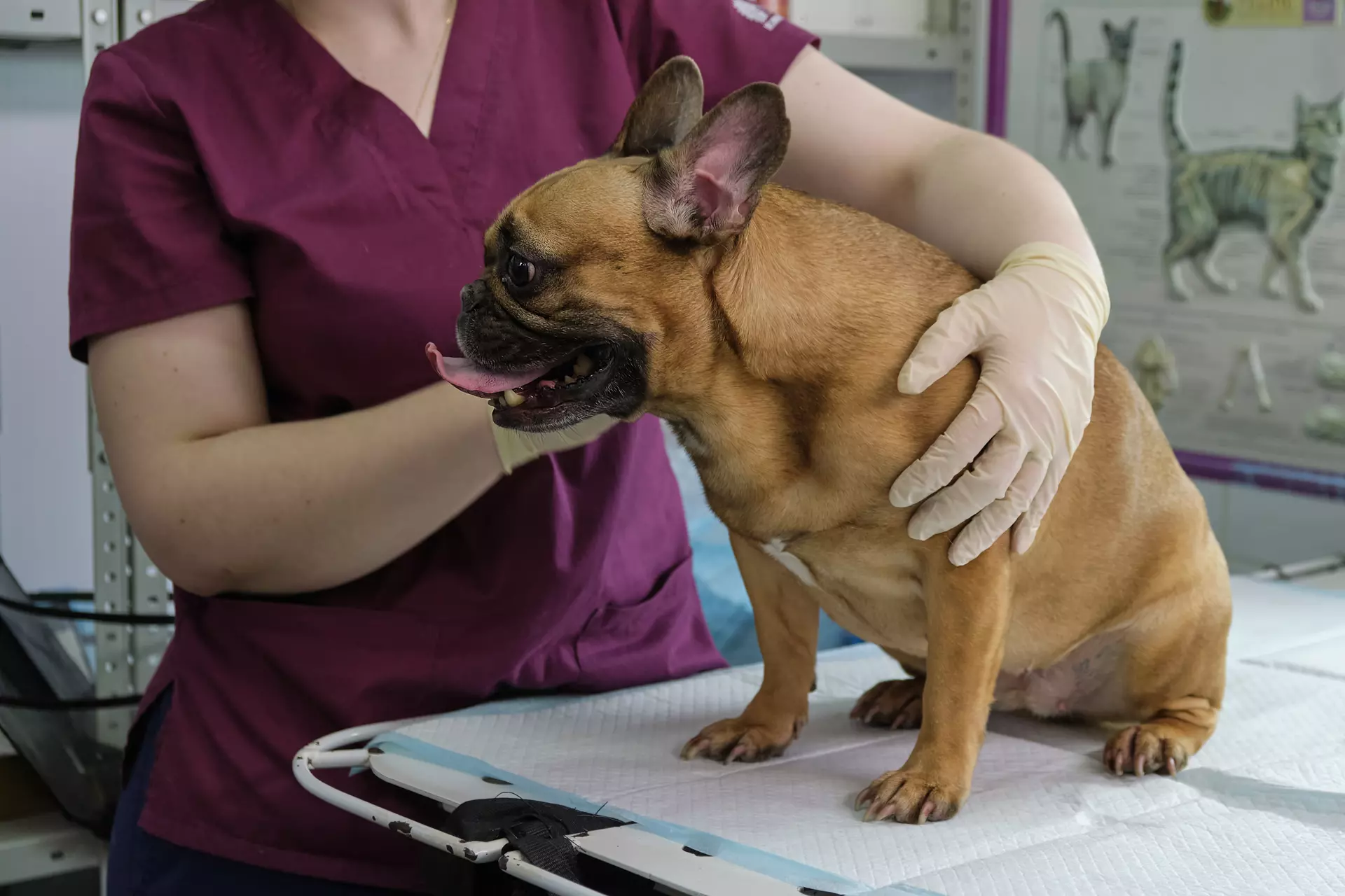 Standard Care