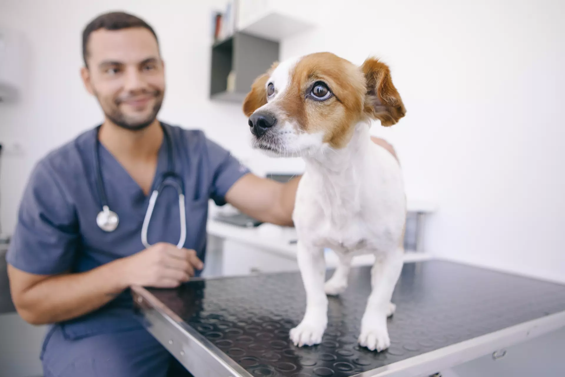 Diagnostics
